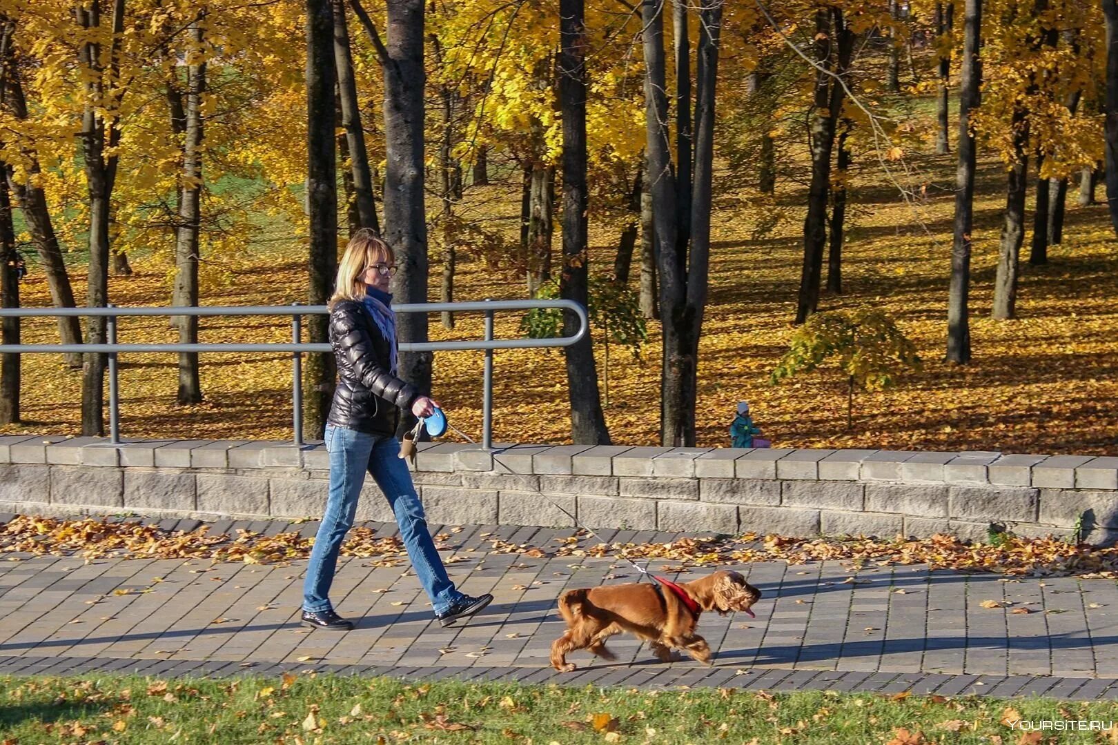 Прогулка с собакой в парке. Осенняя прогулка. Фотосессия прогулка с собакой. Фотосессия прогулка в парке.