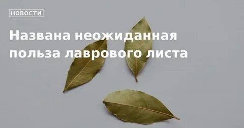Чай из лаврового листа польза