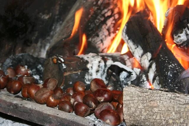 Таскать каштаны из огня значение. Фразеологизмы из японии. Таскать каштаны из огня значение. Таскать каштаны из огня чужими руками. Таскать каштаны из огня.