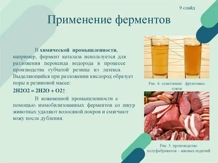 Где используются ферменты