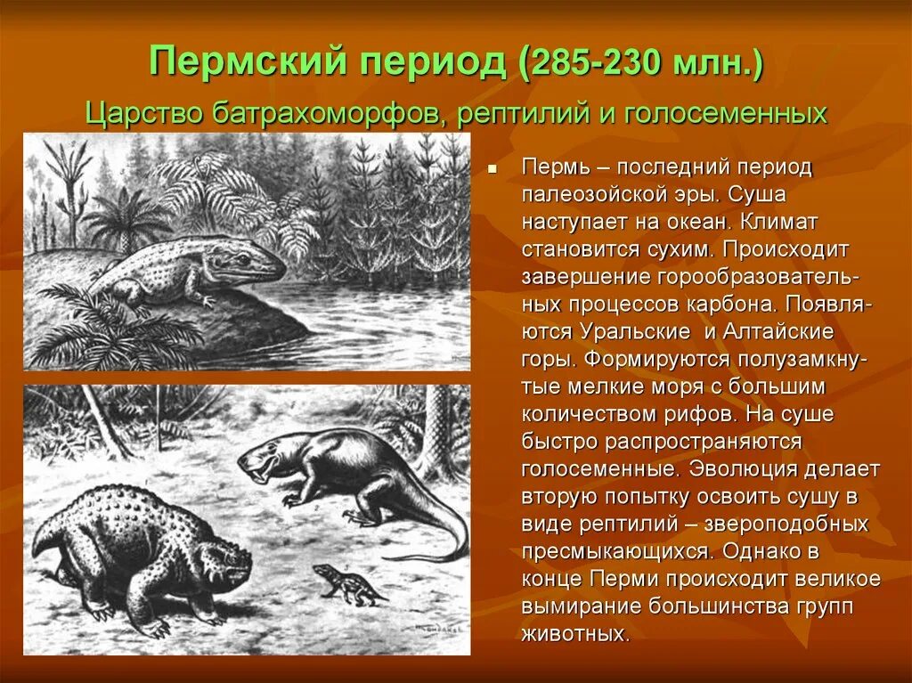 250 млн лет назад какой период. Пермский период массовое Пермское вымирание. Пермь-триасовое массовое вымирание. Палеозой Пермский период. Пермский период палеозойской эры.