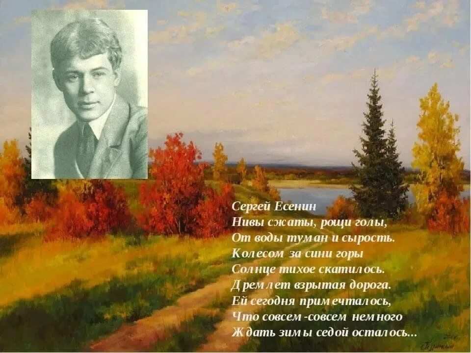 Родные места произведения. Нивы сжаты Рощи голы Есенин.