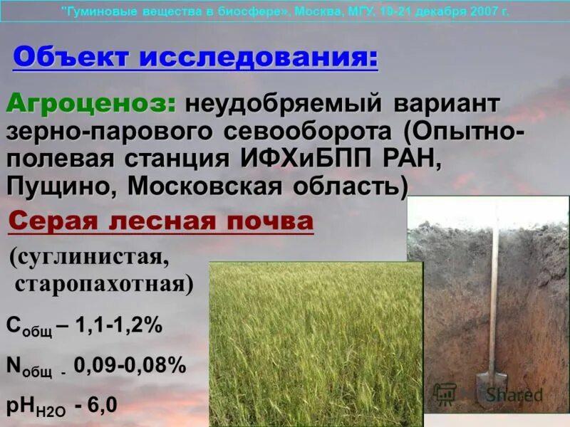 цвет суглинистой почвы. суглинистые почвы характеристика. суглинистая почва характеристика. супесчаная почва. суглинистые почвы характеристика.