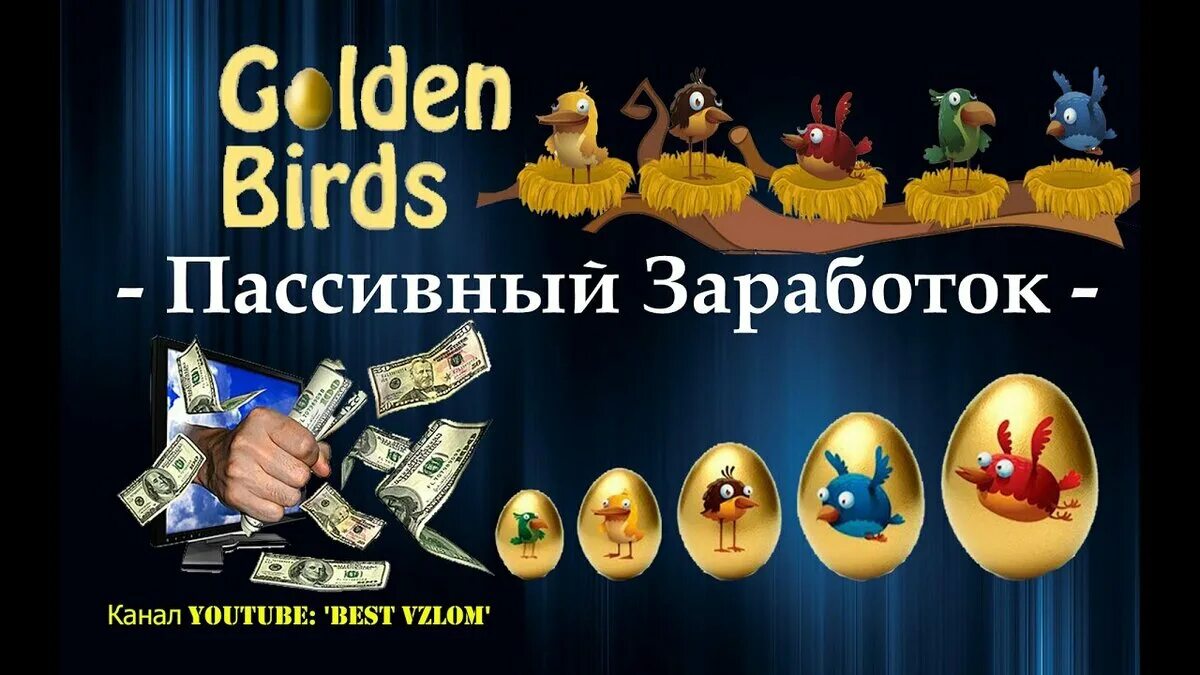 Gold bird s. Golden Birds. Заработок на яйцах. Golden Bird one недорогая. Голден Бердс картинки.
