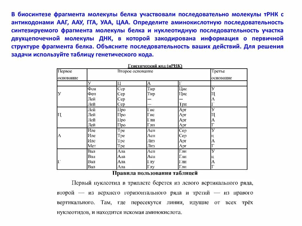 Егэ биология задачи на биосинтез. Известно что все виды ДНК синтези. Известно что все виды РНК синтезируются на ДНК. Задачи на все виды РНК синтезируются на ДНК матрице. Известно что все виды РНК синтезируются.