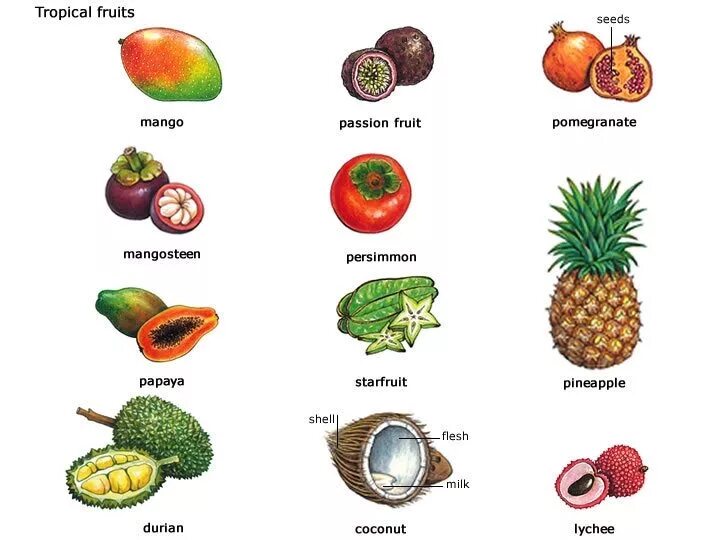 Название фруктов. Экзотические фрукты картинки и названия. Экзотические фрукты на англ. Название фруктов на английском.