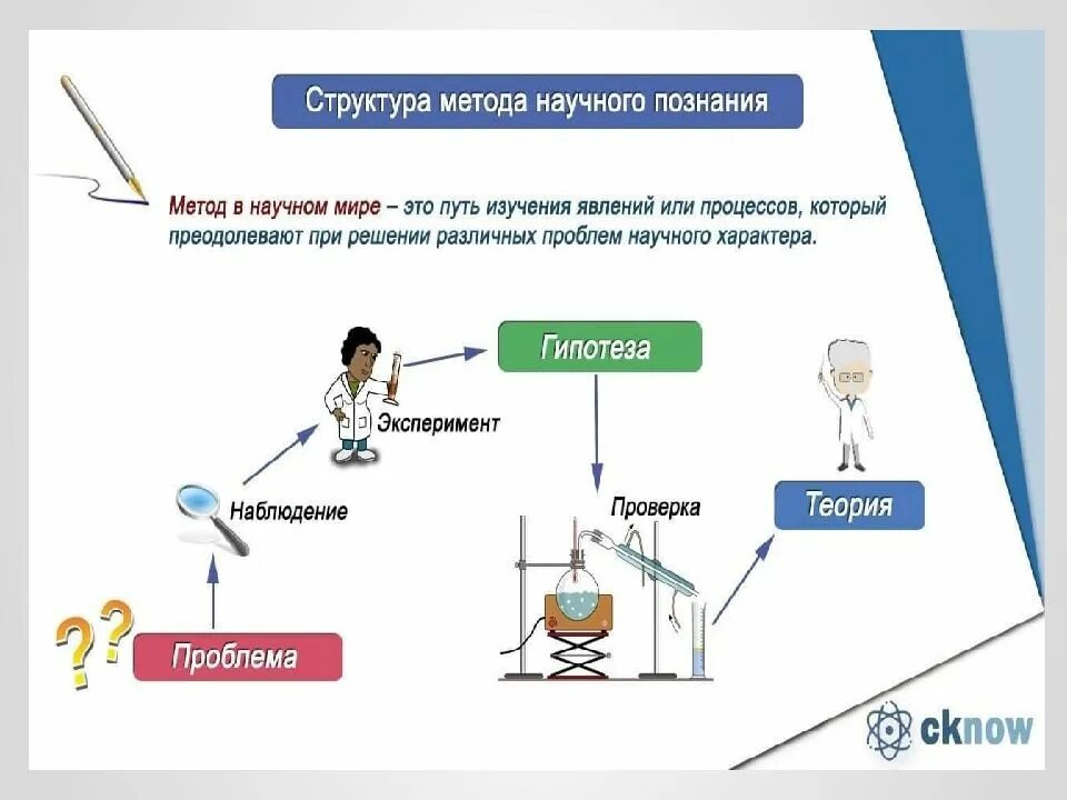 Структурный метод познания. Структура научного метода. Методы познания живой природы в биологии. Структура научной методологии. Научный метод познания природы.