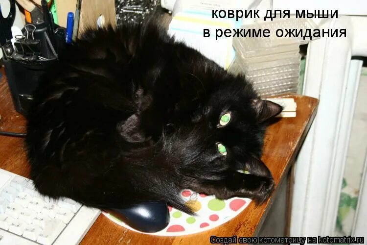 режим ожидания включен. режим ожидания включен. выйди из режима ожидания. день ожидания чуда открытки. кот в ожидании.