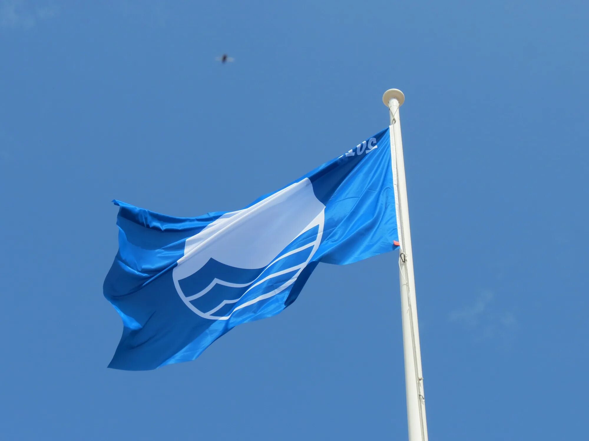 Флаг голубой белый голубой. Бело синий флаг. Голубой флаг. Синее знамя. Флаги с синим цветом.