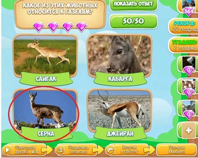 антилопа джейран. антилопа джейран. газель джейран. даурский дзерен. антилопа импала африка.