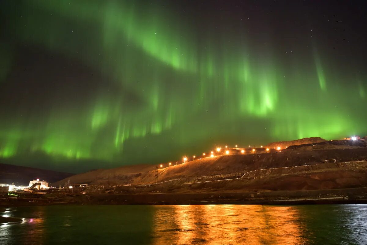 таймыр норильск. полуостров таймыр. лама таймыр. полуостров таймыр. таймыр озеро таймыр.