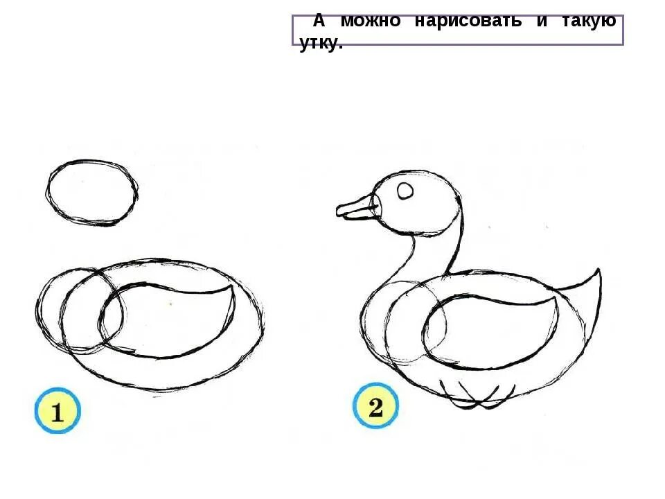 Рисуем утку поэтапно. Рисуем утку поэтапно для детей. нарисовать утенка карандашом поэтапно для детей. нарисовать утку карандашом для детей поэтапно. нарисовать утку ребенку 2 класс.