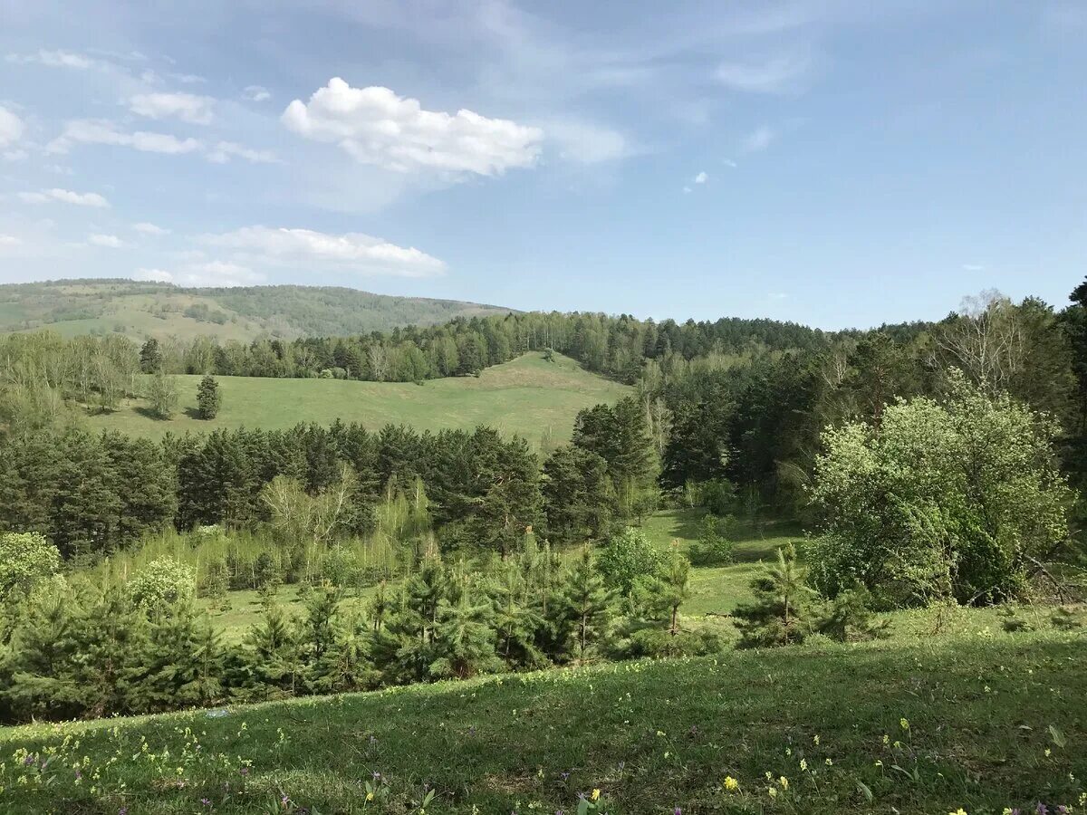 Погода село зеленый луг алтайский край. Горно алтайск кызыл озек. Погода село зеленый луг алтайский край. Достопримечательности кызыл озек республика алтай. Эко ферма алтайские луга бирюля.
