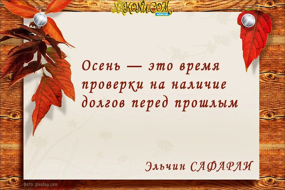 Осенние цитаты. Высказывания про осень. Осенние цитаты. Осень выражения. Осень цитаты красивые.