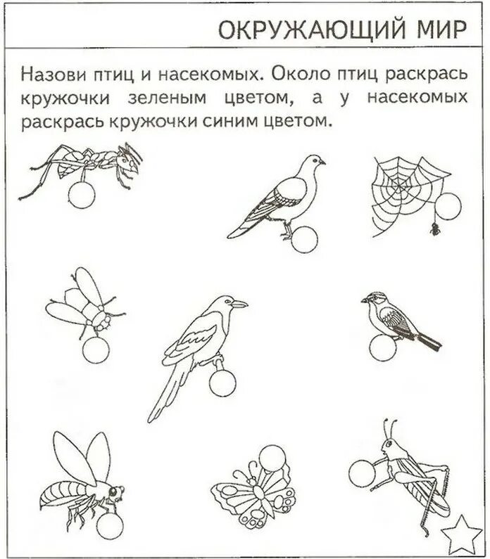 Задания по ознакомлению с окружающим для детей 5 6 лет. Тестовые задания "окружающий мир", для детей 5-6 лет. Задания по окружающему миру для детей с ЗПР. Задания по окружающему миру для дошкольников 1 класс.