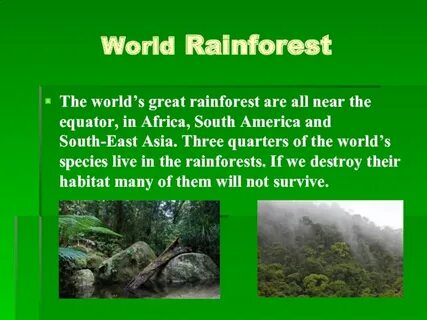 Were are the forests