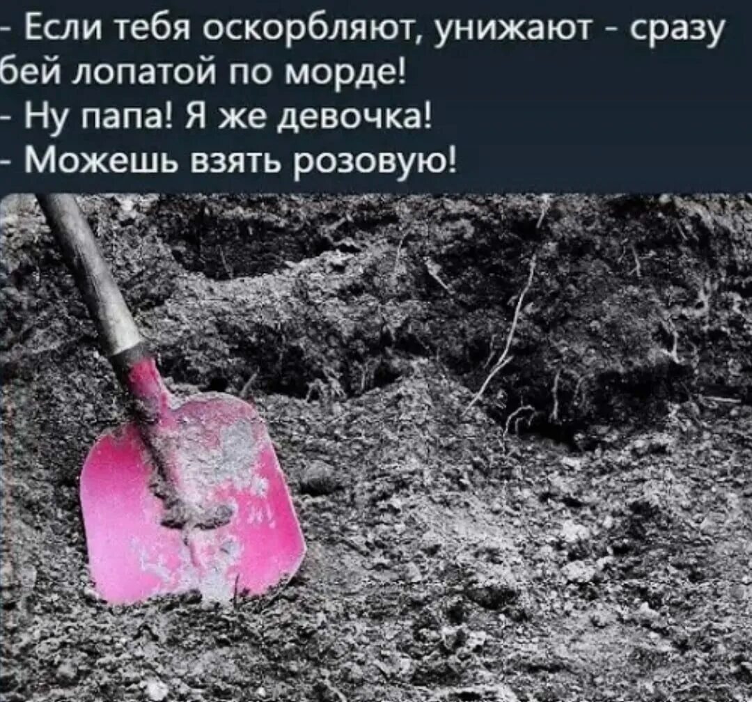 Песня слабых бить и обижать. Песня слабых бить и обижать