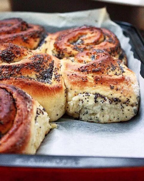 Булка с маком. Плюшка с маком. Булочки с маком из дрожжевого. Сдобные булочки с маком. Маковые дрожжевые булочки