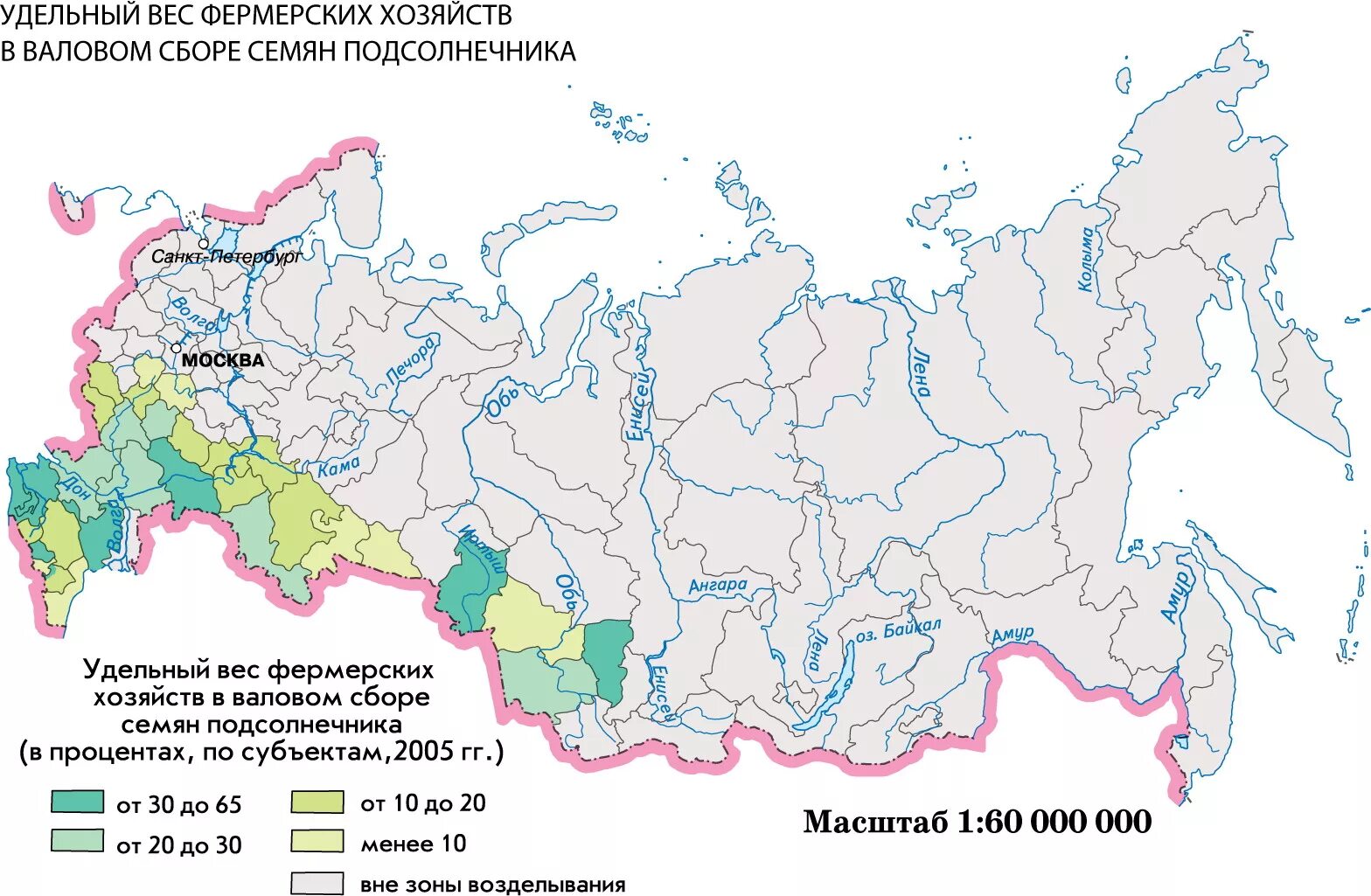 Районы выращивания на карте. Районы сельского хозяйства в России. Карта растениеводства России. Карта сельского хозяйства России. Районы выращивания подсолнечника.