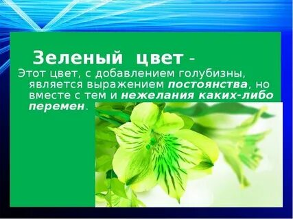 Как цвет влияет на человека проект
