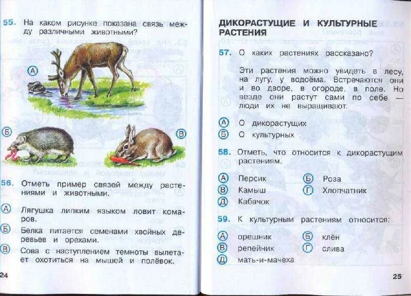 Контрольная работа по теме растительные сообщества. Окружающий мир тесты. Тест по окружающему миру. Тест по окружающему миру 2 класс.