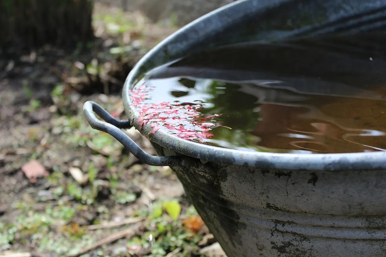Литва дождевая вода. Дождевая вода. сбор дождевой воды в лесу. дождевая вода, ленивая. дождевая вода грязная или чистая.