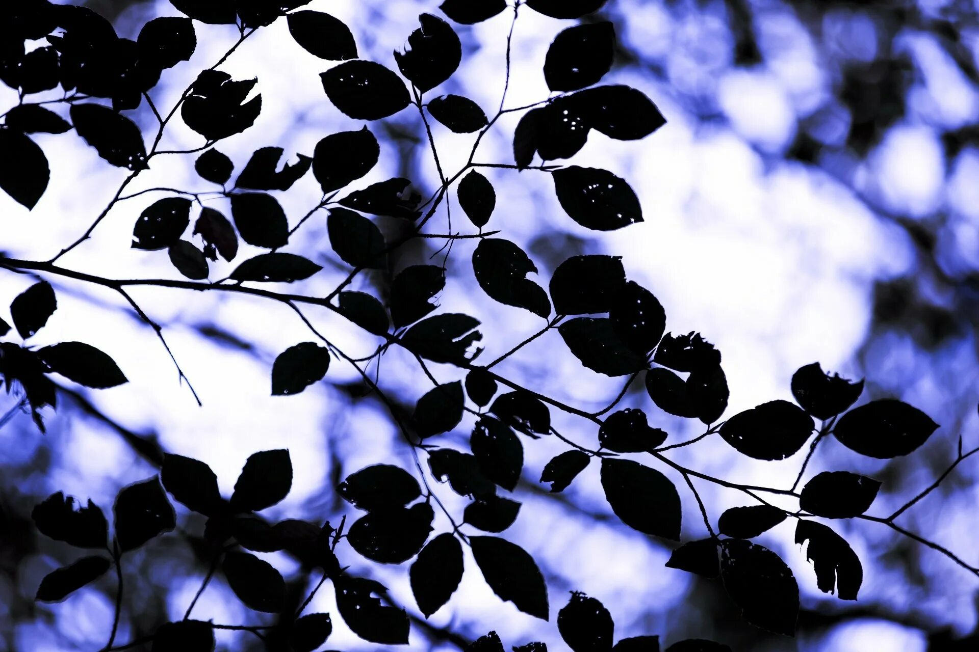 Texture shadows
