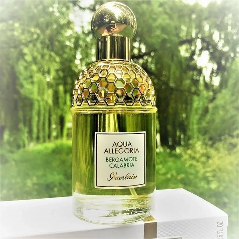 Ароматы воды свежести. Guerlain Aqua Allegoria Bergamote. Герлен духи Aqua Allegoria. Аква аллегория бергамот Калабрия. Герлен Аква аллегория бергамот Калабрия.