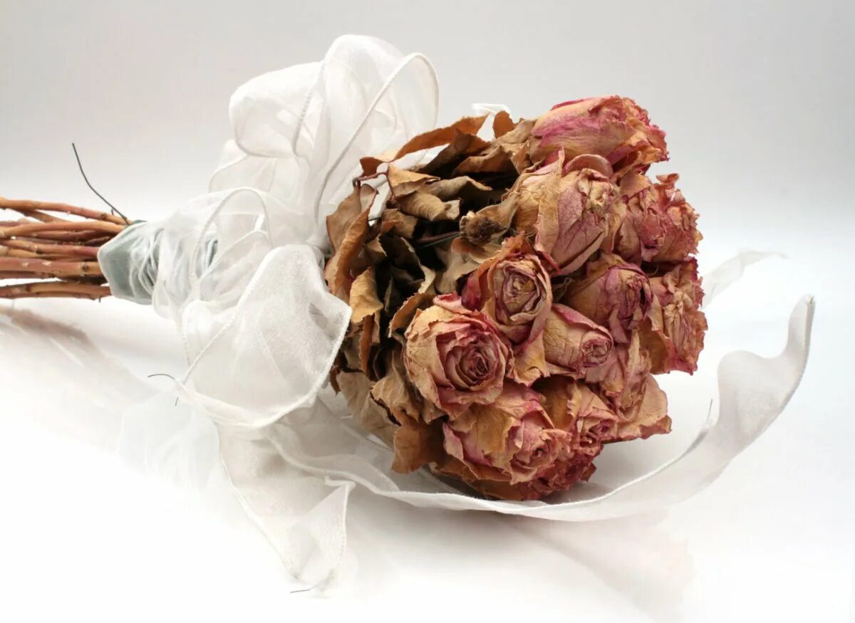 Засохшая роза. Завядший цветок. Страшный букет цветов. Засушенные кустовые розы. Сухая роза гербарий.