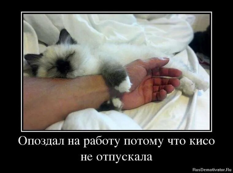 Отпустило мем. Пускай работает железная пила. Пускай работает железная пила не для работы меня мама. Не пущу работать. Пора домой с работы прикольные.