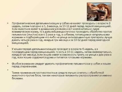 Кормить перед прививкой