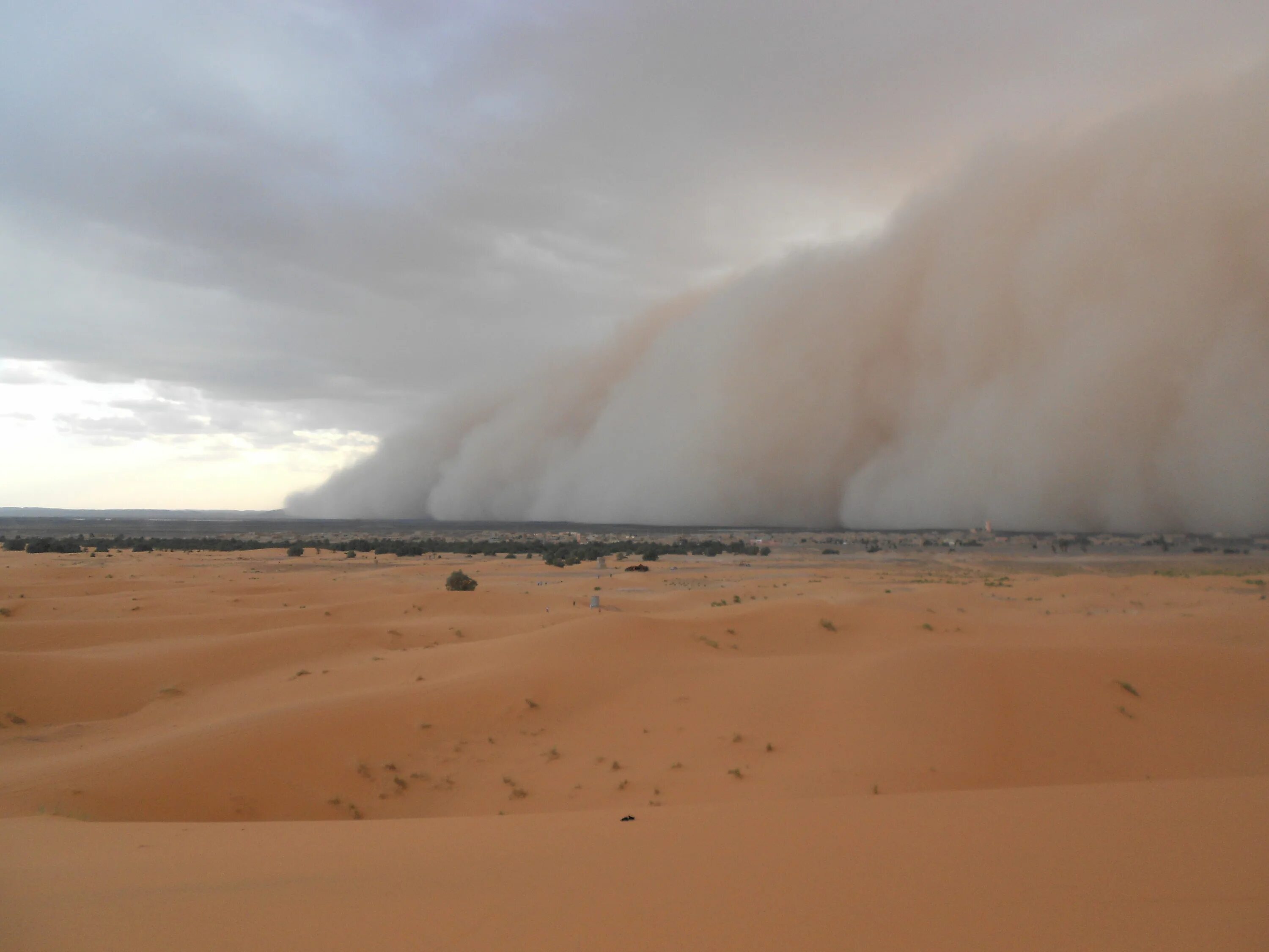 Самум это. Самум Песчаная буря. Самум ветер пустыни. Пустыня сахара Самум. Хамсин ветер пустыни.