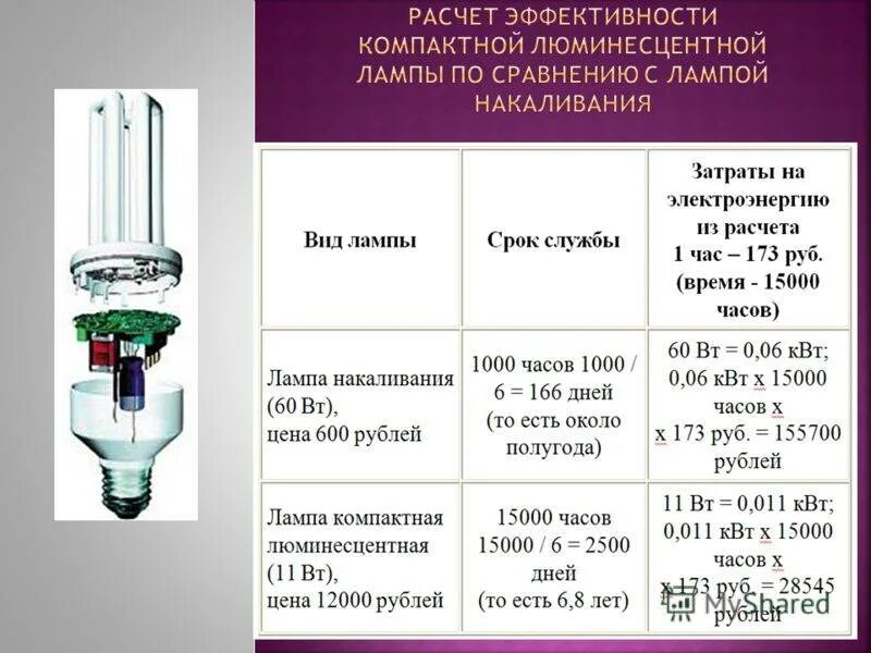 Сколько составляет срок службы. Срок службы люминесцентных ламп. ЛБ 65 лампа люминесцентная световой поток. Срок службы лампы накаливания 60 Вт в часах. Срок службы люминесцентной лампы 20 Вт.