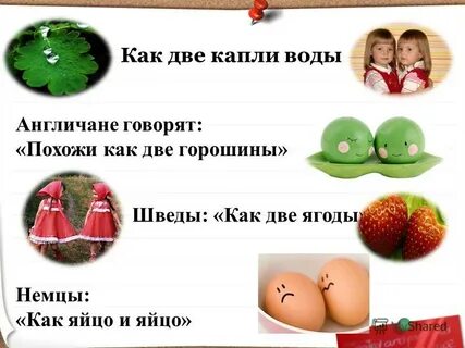 Говори похож