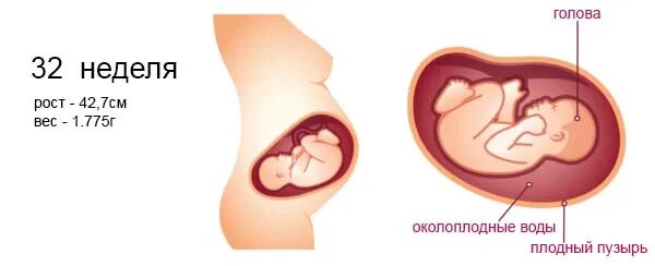 Вес плода в 38 недель беременности. Вес плода в 37-38 недель беременности. Вес малыша на 38 неделе беременности. 38 Неделя беременности формирование плода. В см 38 недель