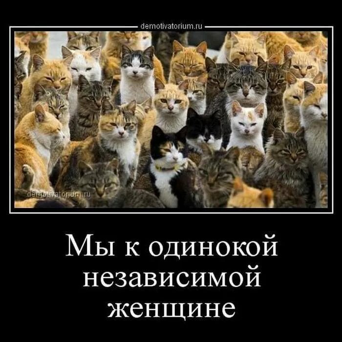 Близко независимый