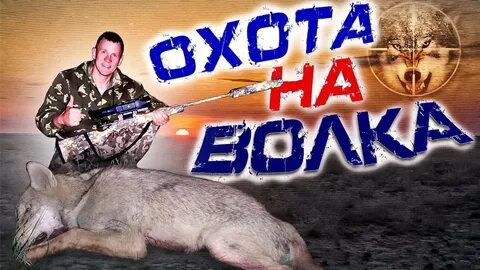 Охота на волка 2020