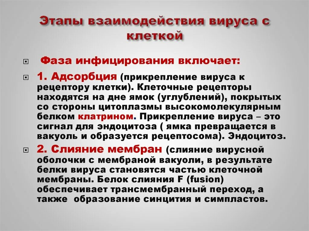 Стадии взаимодействия вируса с клеткой. Этапы взаимодействия вируса с клеткой. Стадии взаимодействия вируса с чувствительной клеткой. Основные стадии взаимодействия вируса и клетки.