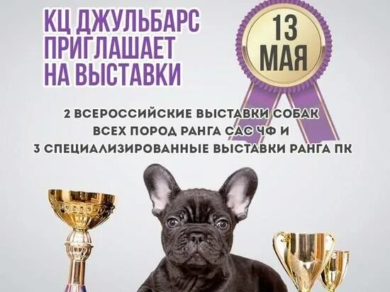 Приглашение на выставку собак. Джульбарс Волгоград акварель. Презентация выставки собак. Выставка собак всех пород.