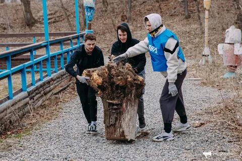 Чистый десант