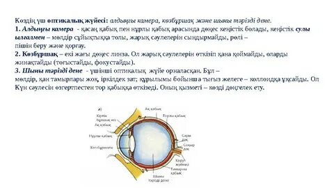 Ретро порно мультфильм