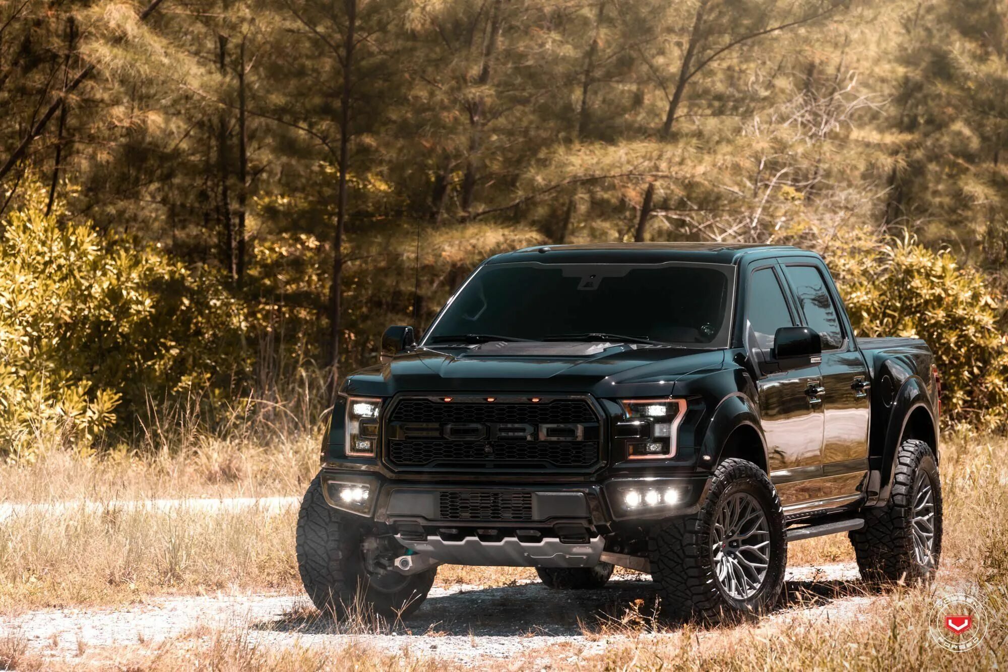 2019 Ford F-150 Platinum Will get Menacing V8 Raptor Remedy Ford svt, Ford rapto