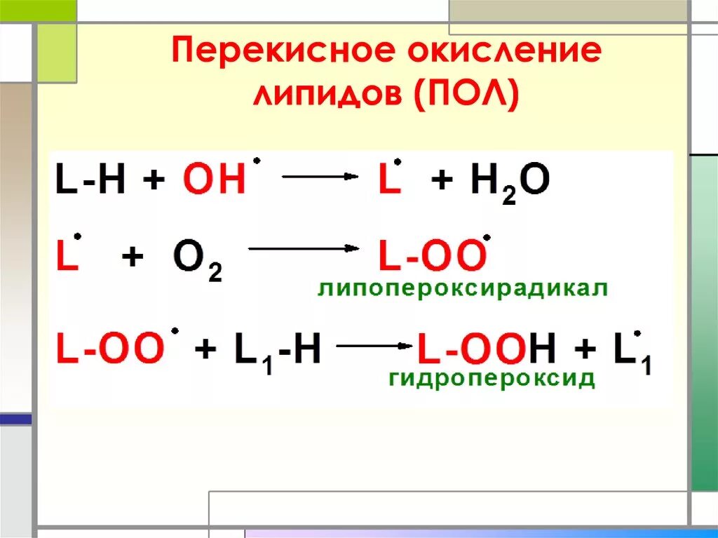 Пол липидов. Перекисное окисление липидов схема. Схема перекисного окисления липидов биохимия. Механизм реакции пероксидного окисления. Перекисное окисление липидов формула.