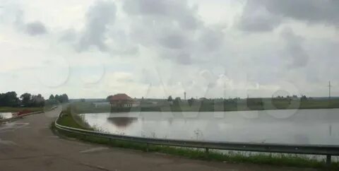 Погода новоникольское шаховская