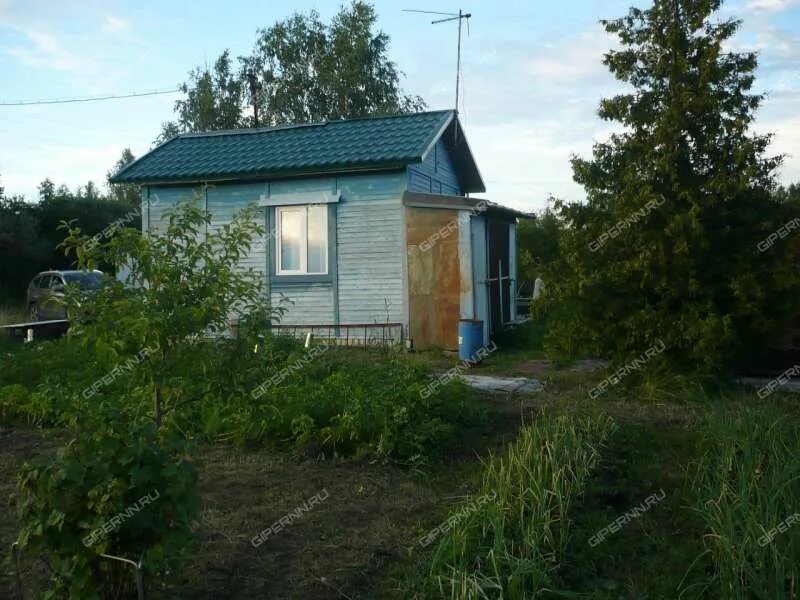 Снт дол. Деревня Хмелевое. Поляна в Нижегородской области. Хмелевая Поляна Нижегородская. СНТ зеленый дол.