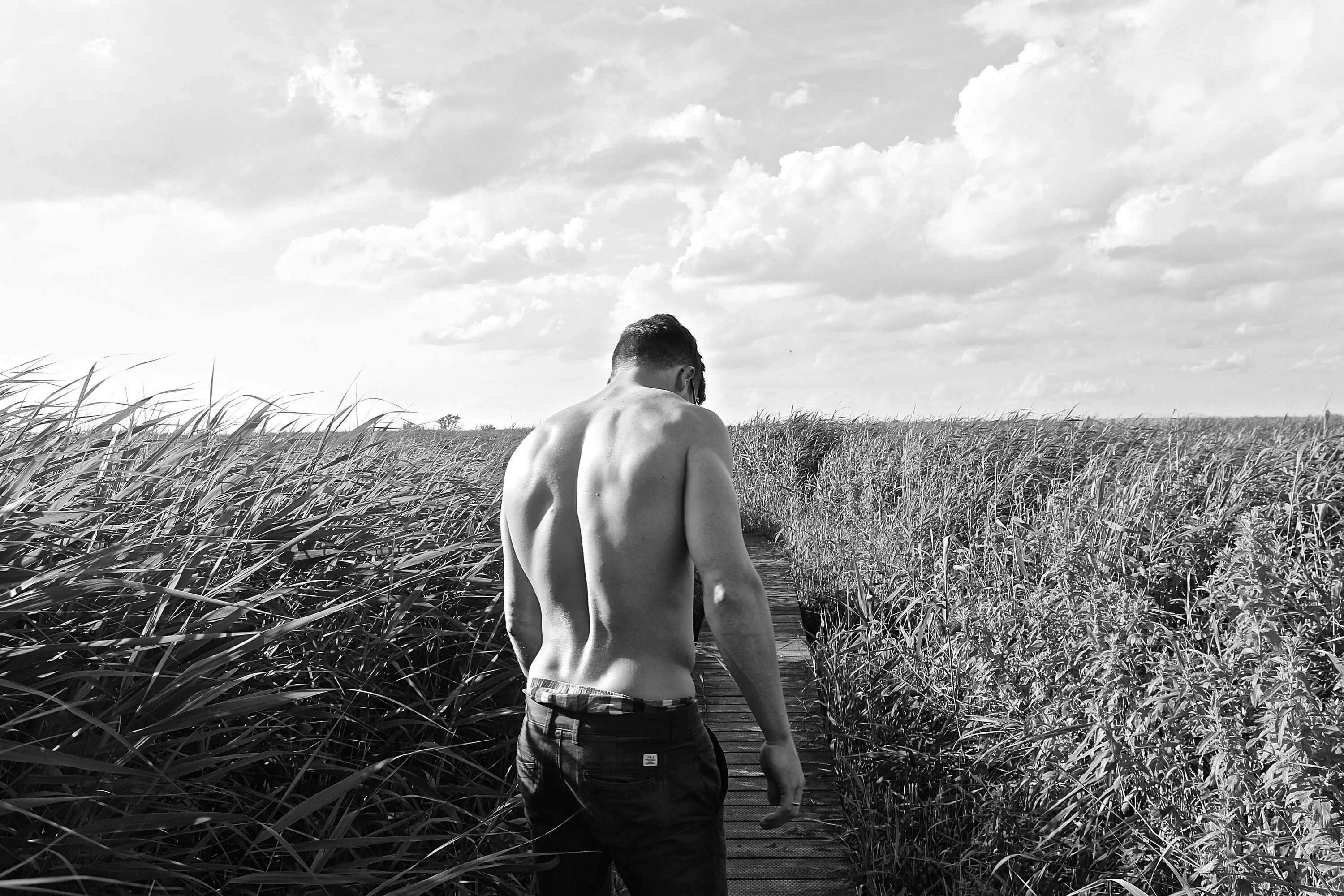 Один в поле. Мужчина в поле. Мужская фотосессия в поле. Мужчина спиной на природе. Парень в поле спиной.