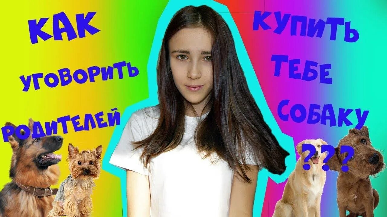 Как уговорить маму на собаку. Как уговорить маму купить собаку. Как уговорить папу купить собаку. Как можно упросить маму купить собаку?. Как упросить родителей купить собаку.