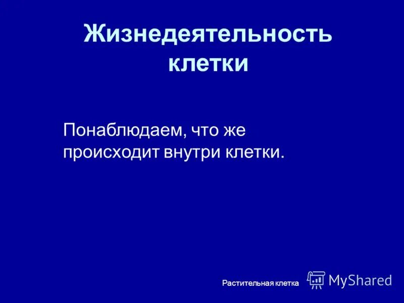Презентация урока жизнедеятельность клетки 6 класс. Жизнедеятельность клетки презентация. процессы жизнедеятельности клетки.