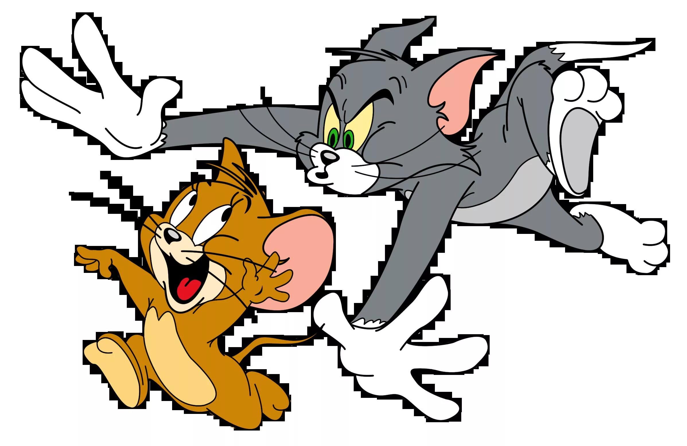 Как пройти том и джерри. Tom and jerry. том гонится за джерри. джерри бегает. том и джерри мультфильм.