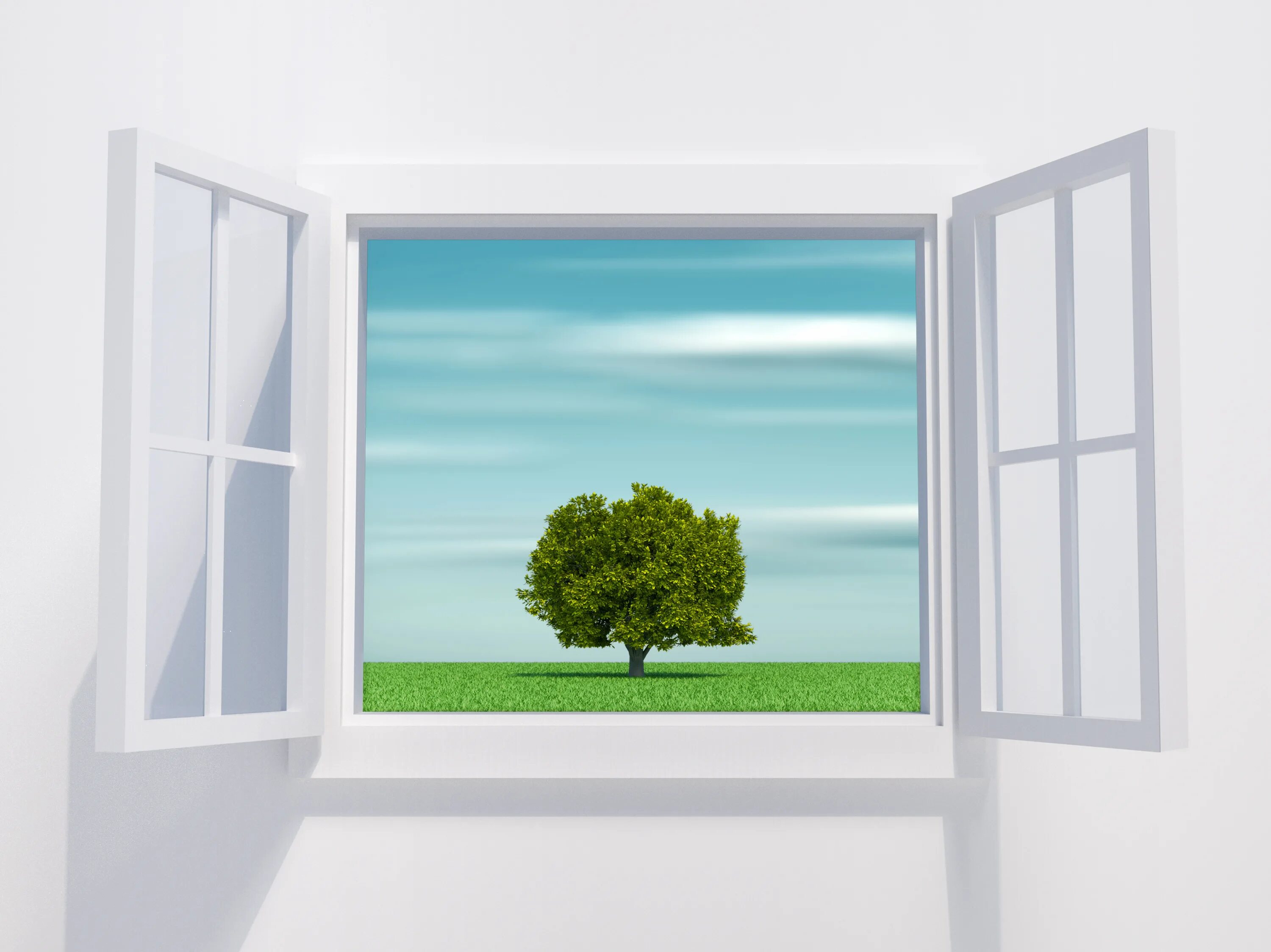 This window